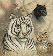Dimensions - The Gold Collection 35052 Eyes in the Wild