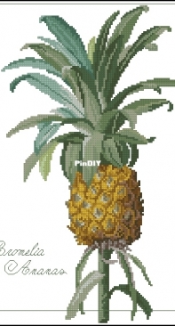 Il frutto del mese - Bromelia Ananas from ricAmare magazine 2006  XSD + PCS