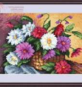 Megat 4638 Fall asters