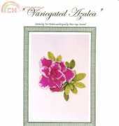 The Silver Lining SL104 Variegated Azalea
