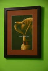 Little puppy