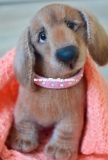 Julia Ogol -Julia Yu Ogol - Dachshund Bonnie  -Translated