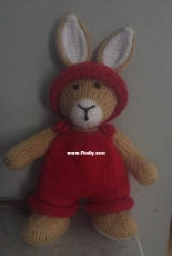 Elderbunny