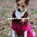 Jenna Wingate Designs - Jenna Wingate - Dog Sweater Ebook - Free