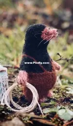 Moley by Claire Garland