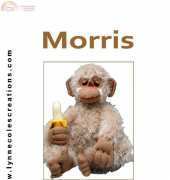 lynne coles Morris monkey