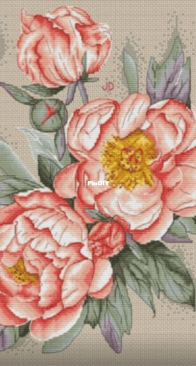 Jeanne Dick- Coral peonies XSD
