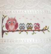 My beautiful owls