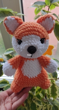 Little Shiba Inu