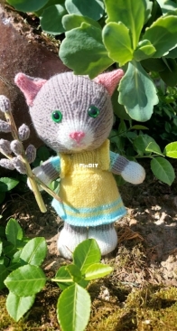 spring cat