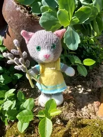 spring cat