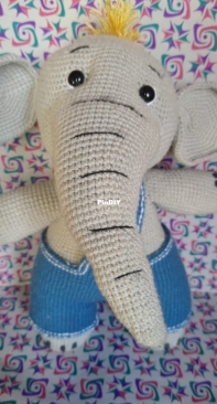 My elephant