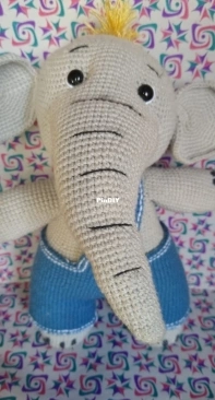 My elephant