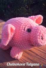 Chelnokova Tatyana - Mini pig - Russian - Free