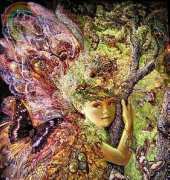 HAE The Oak Fairy - Josephine Wall