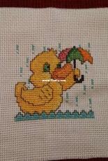 Duck in the rain