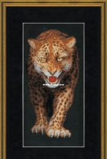 Zolotoe Runo HC-002 Night Savannah - Leopard