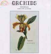 Ross Originals - R08 - Paphiopedilum - Slipper Orchid
