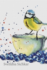 Tit with Blueberry by Svetlana Sichkar