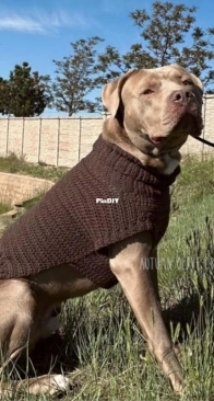 Autumn Olive Crochet - Autumn Olivia Ward - Autum Olive Sweater for Pets
