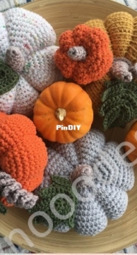 Seynooodesign - Zeynep Bakar - Pumpkins - Balkabakları - Turkish