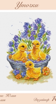 Ducks by Olga Ryazantseva
