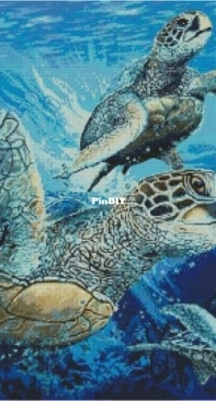 Turtles by Natalia Cherepanova