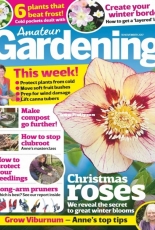 Amateur Gardening - 18 November 2017
