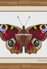 Butterfly Aglais io by Serafima Abramova / Серафима Абрамова