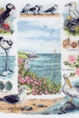 Anchor PCE875 - Coastal Birds of our Shores PCS