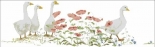 Thea Gouverneur 2017 Poppies & Geese
