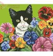 Cat Among the Pansies