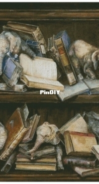 Chimera - Bookshelf