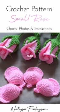 Natagor Finlayson - Small Rose