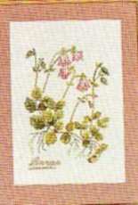 Eva Rosenstand 12-669 - Linnaea