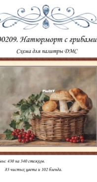 00209 - Still Life with Mushrooms by Amelka Elenka