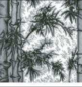 Bamboo