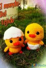 pollito con cascaron