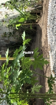 How did I build a garden all by myself - 6