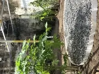How did I build a garden all by myself - 6