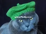 International Cat Hat by Stacy Mar- Free