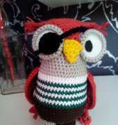 pirate owl