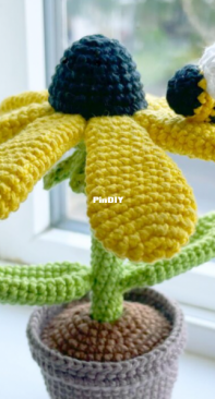 Erin May Crochet - Bumble Blossom - Black Eyed Susan - Free