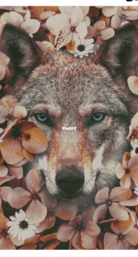 Chimera - Mystery of the Flower Bushes