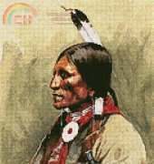 Artecy Cross Stitch - Indian Portrait