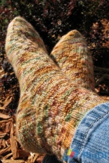 Dreams in Fiber - Erica Lueder - The Weasley Homestead Socks English , French - Free