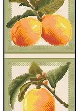 Zolotoe Runo FS-002 Lemons pcs