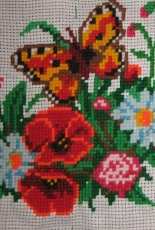 Poppies and butterfly