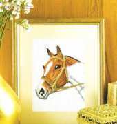 Horse Head from Zweigart Needle Art 114 The Great Hunting
