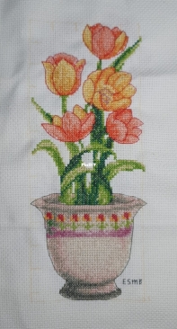 My Tulips
